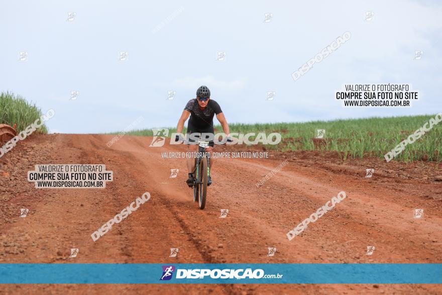 1ª EDIÇÃO DESAFIO ABELHA GRANDE - XCM