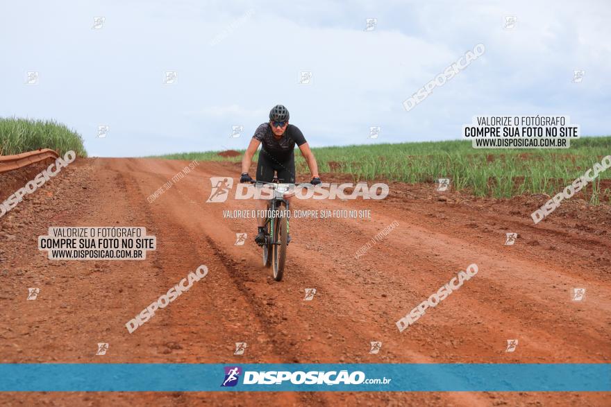 1ª EDIÇÃO DESAFIO ABELHA GRANDE - XCM