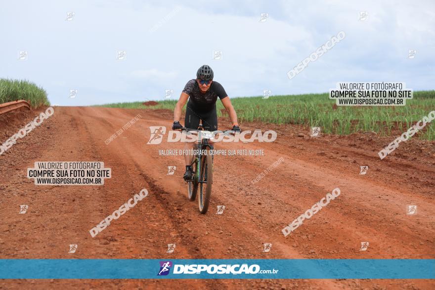 1ª EDIÇÃO DESAFIO ABELHA GRANDE - XCM