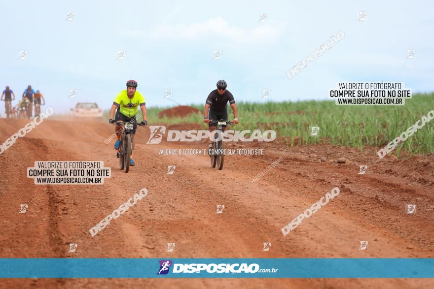 1ª EDIÇÃO DESAFIO ABELHA GRANDE - XCM