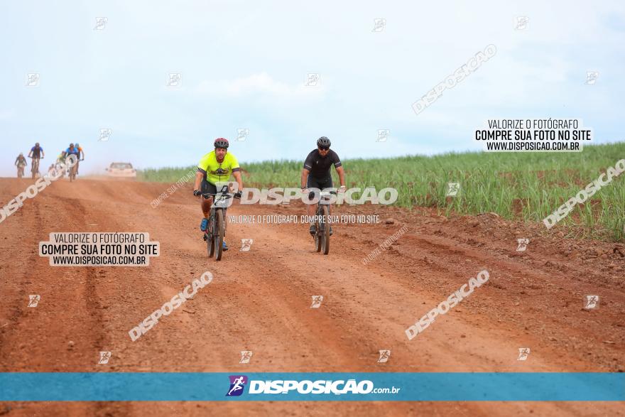 1ª EDIÇÃO DESAFIO ABELHA GRANDE - XCM