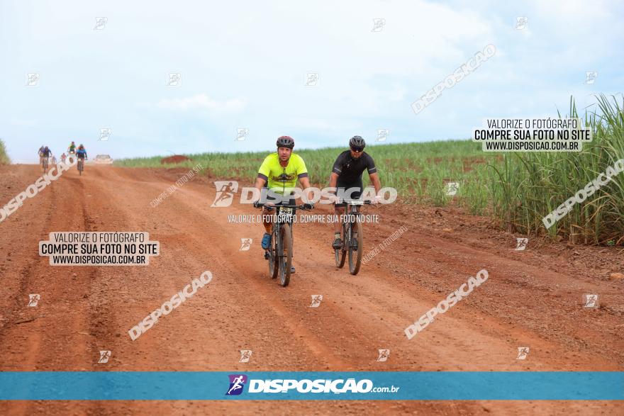 1ª EDIÇÃO DESAFIO ABELHA GRANDE - XCM