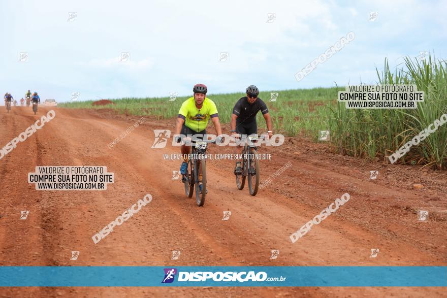 1ª EDIÇÃO DESAFIO ABELHA GRANDE - XCM