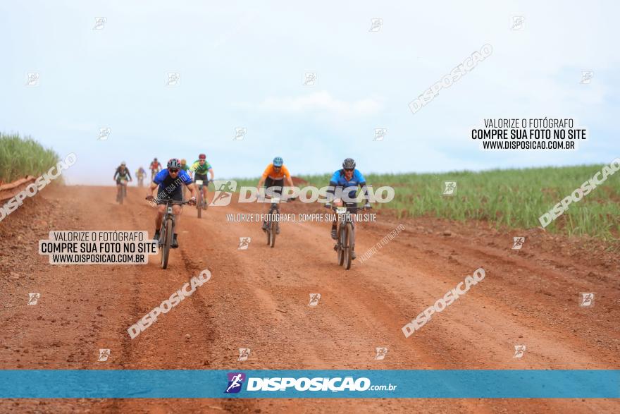 1ª EDIÇÃO DESAFIO ABELHA GRANDE - XCM