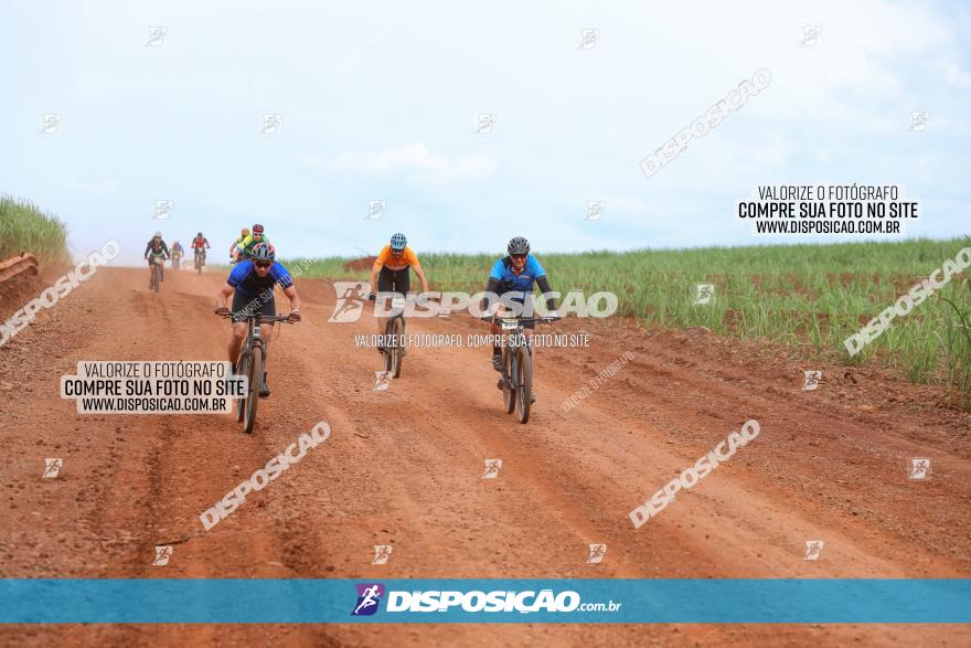 1ª EDIÇÃO DESAFIO ABELHA GRANDE - XCM