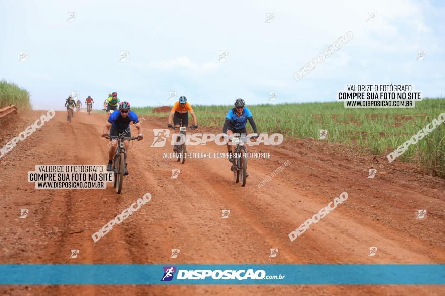 1ª EDIÇÃO DESAFIO ABELHA GRANDE - XCM