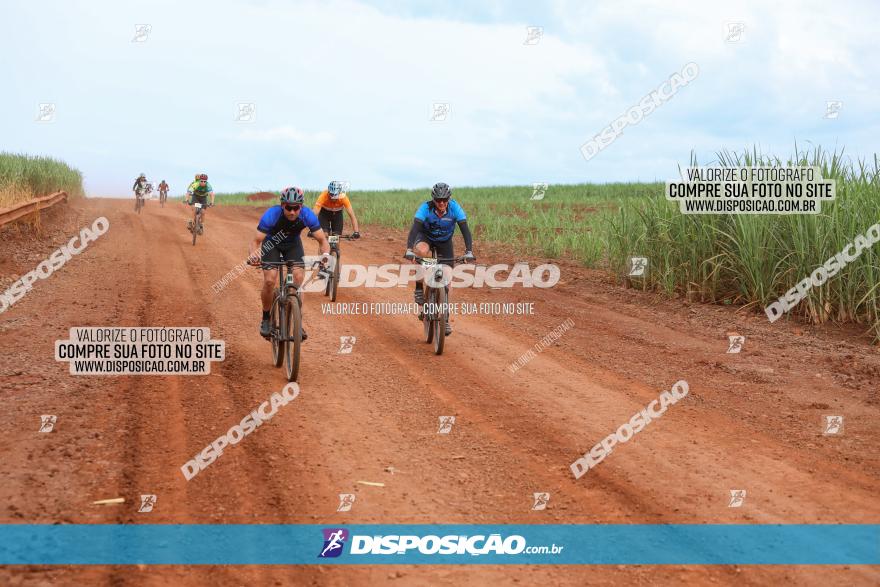 1ª EDIÇÃO DESAFIO ABELHA GRANDE - XCM