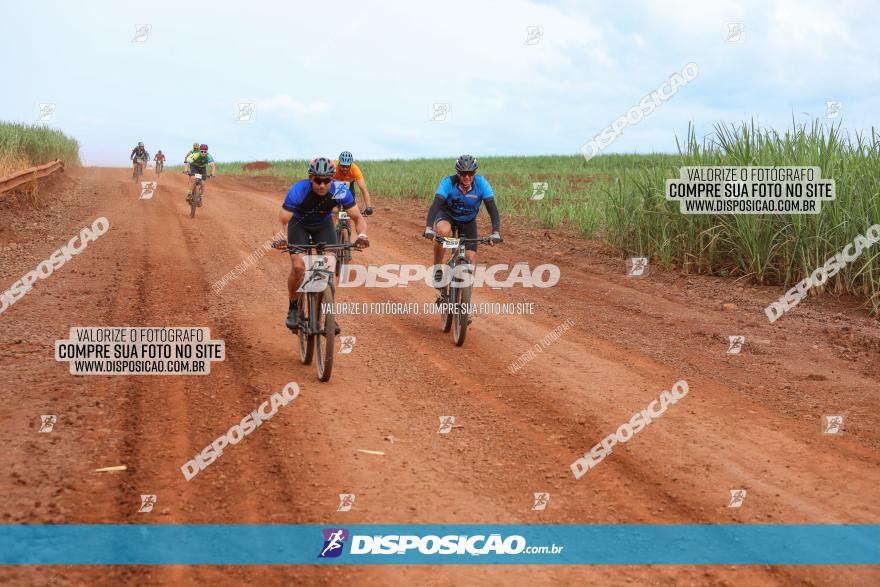 1ª EDIÇÃO DESAFIO ABELHA GRANDE - XCM