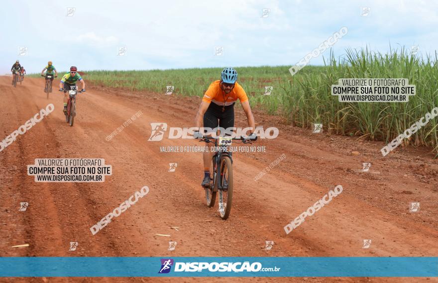 1ª EDIÇÃO DESAFIO ABELHA GRANDE - XCM