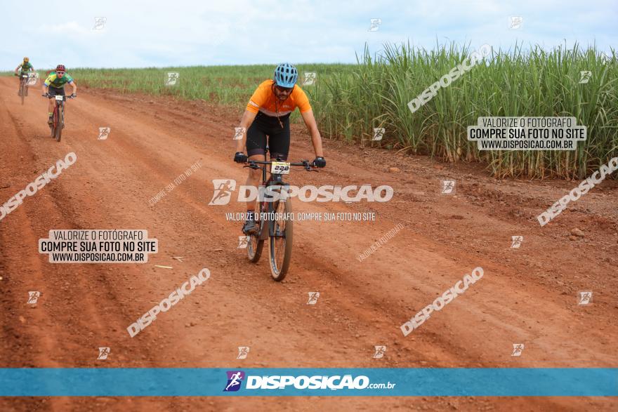 1ª EDIÇÃO DESAFIO ABELHA GRANDE - XCM