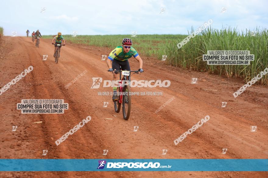 1ª EDIÇÃO DESAFIO ABELHA GRANDE - XCM