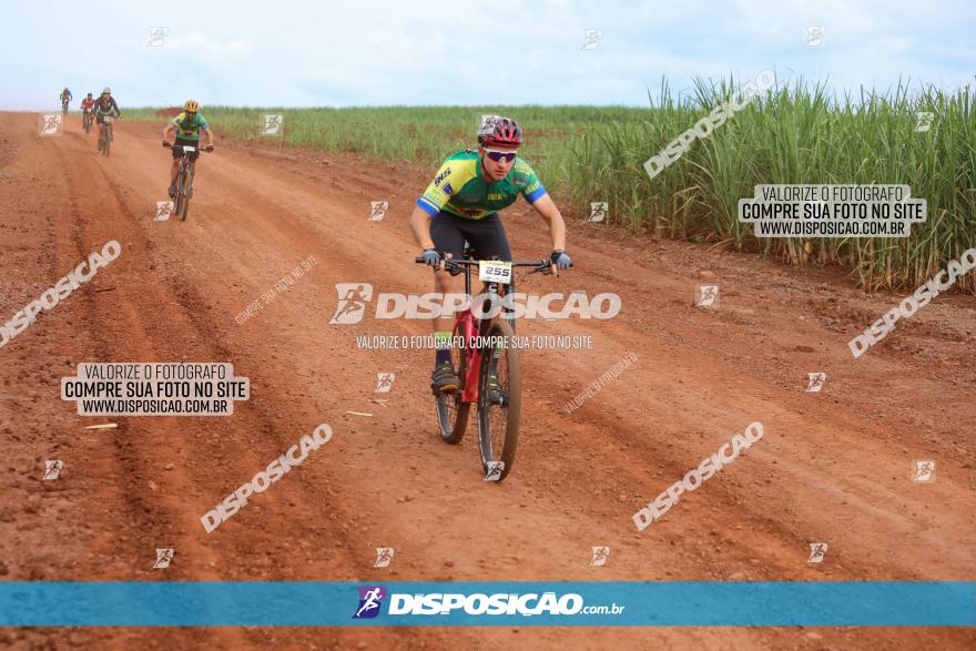 1ª EDIÇÃO DESAFIO ABELHA GRANDE - XCM