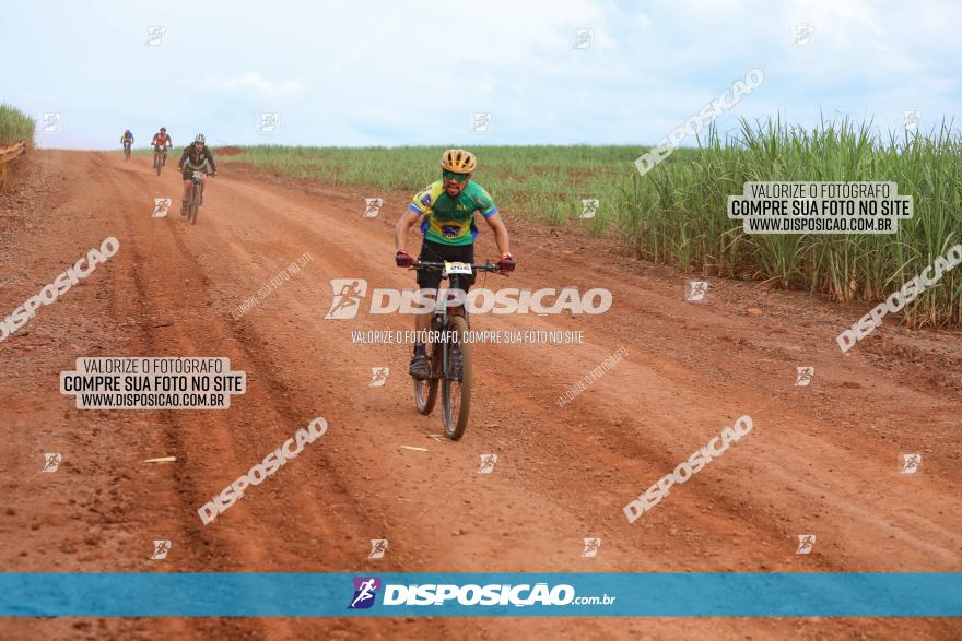 1ª EDIÇÃO DESAFIO ABELHA GRANDE - XCM