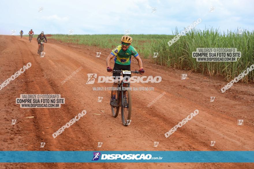 1ª EDIÇÃO DESAFIO ABELHA GRANDE - XCM