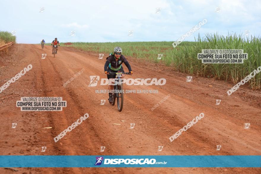 1ª EDIÇÃO DESAFIO ABELHA GRANDE - XCM