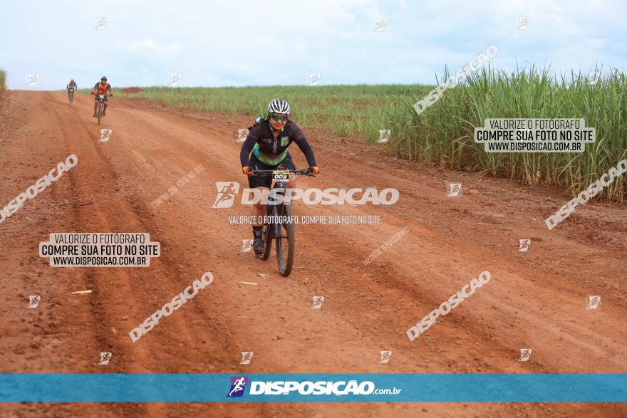 1ª EDIÇÃO DESAFIO ABELHA GRANDE - XCM