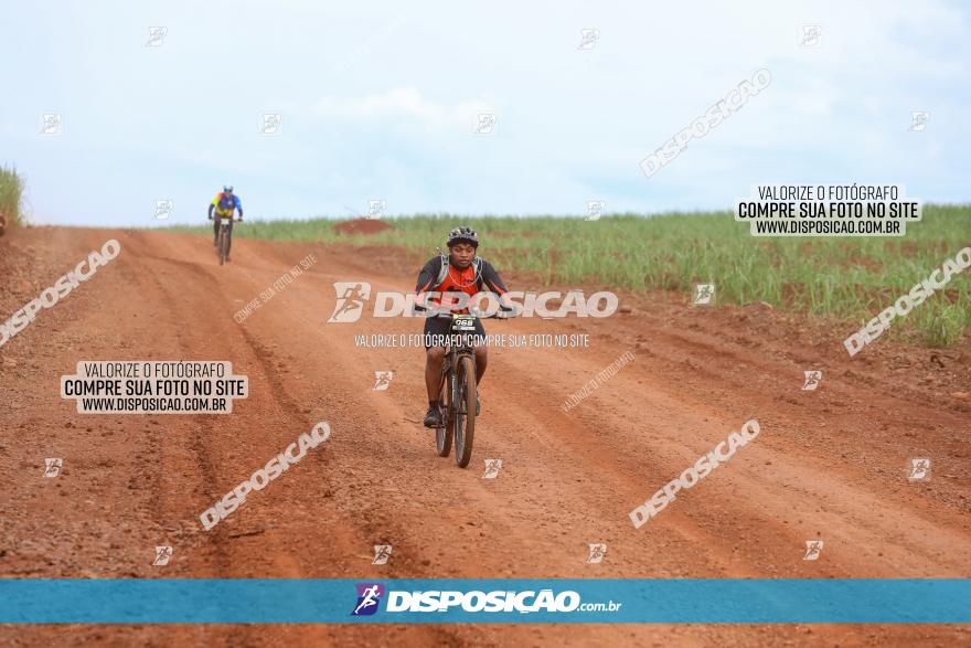 1ª EDIÇÃO DESAFIO ABELHA GRANDE - XCM