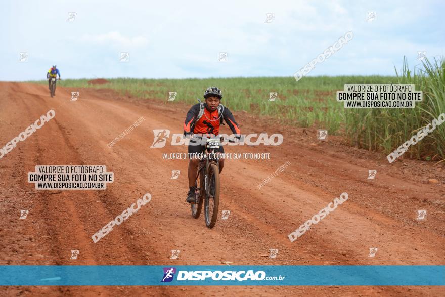 1ª EDIÇÃO DESAFIO ABELHA GRANDE - XCM