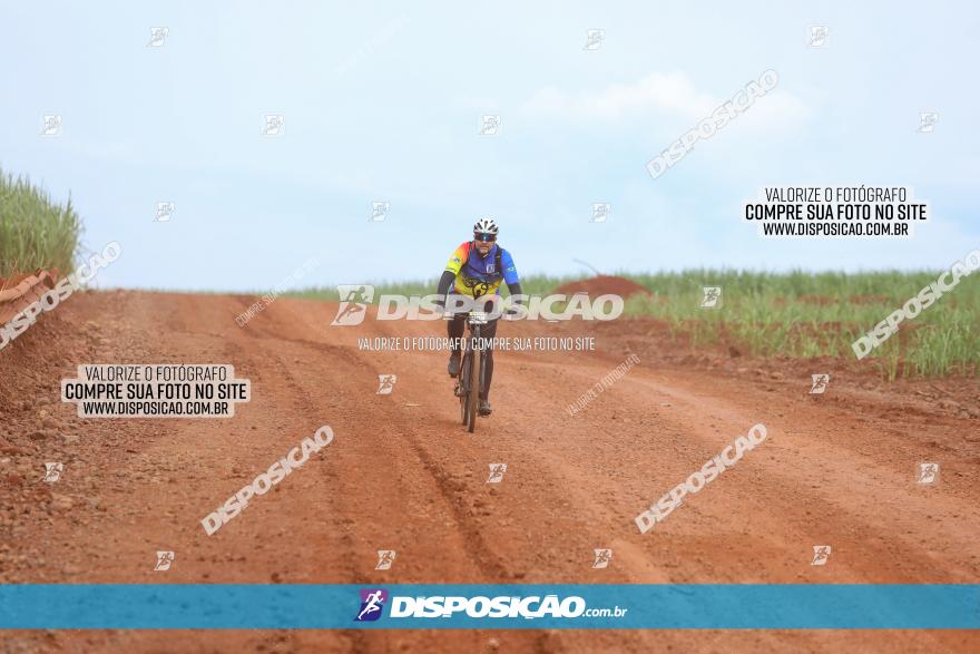 1ª EDIÇÃO DESAFIO ABELHA GRANDE - XCM