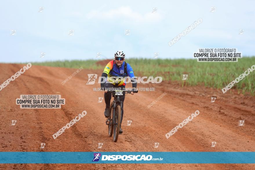 1ª EDIÇÃO DESAFIO ABELHA GRANDE - XCM