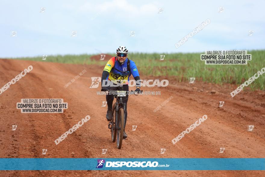 1ª EDIÇÃO DESAFIO ABELHA GRANDE - XCM