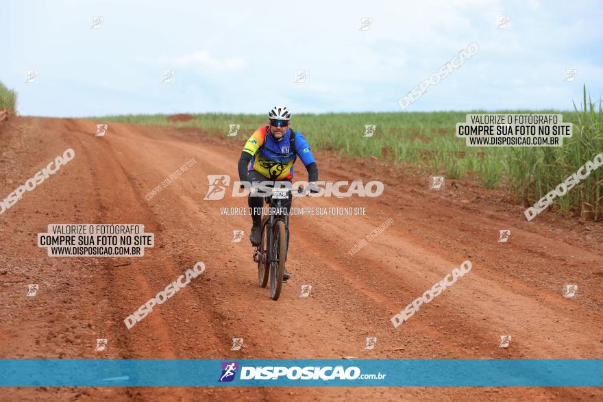 1ª EDIÇÃO DESAFIO ABELHA GRANDE - XCM