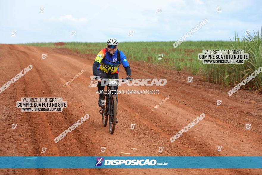 1ª EDIÇÃO DESAFIO ABELHA GRANDE - XCM