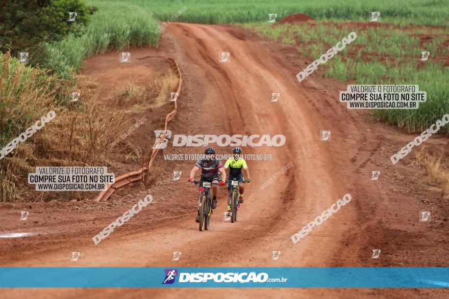 1ª EDIÇÃO DESAFIO ABELHA GRANDE - XCM