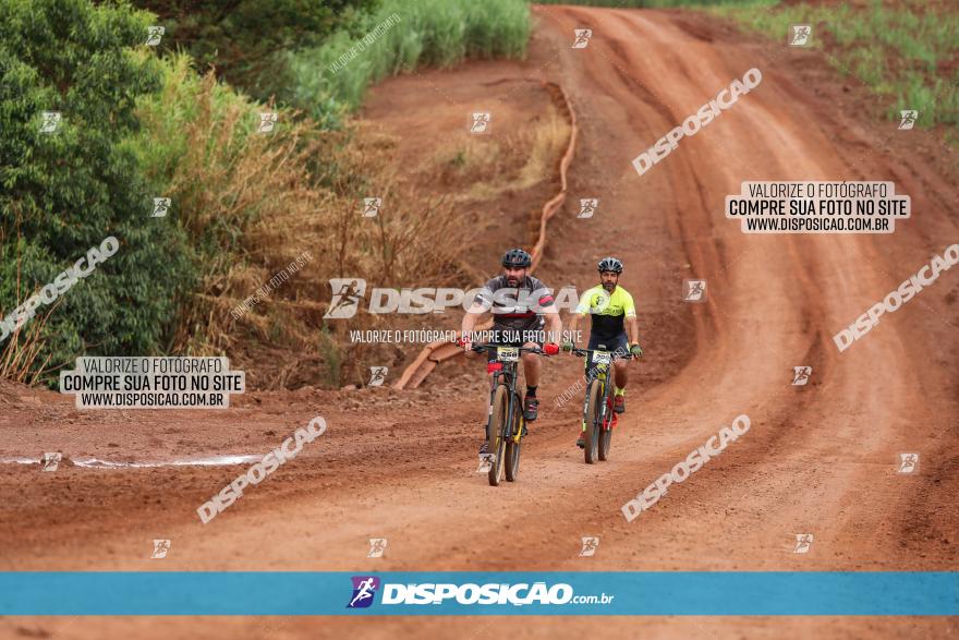 1ª EDIÇÃO DESAFIO ABELHA GRANDE - XCM