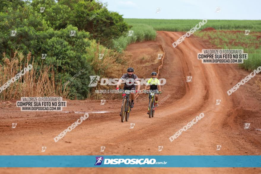 1ª EDIÇÃO DESAFIO ABELHA GRANDE - XCM