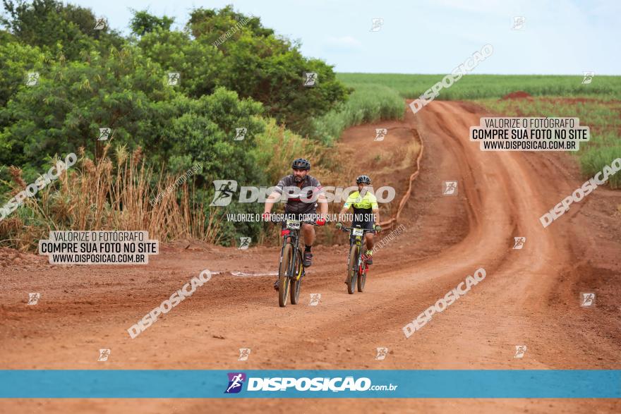 1ª EDIÇÃO DESAFIO ABELHA GRANDE - XCM