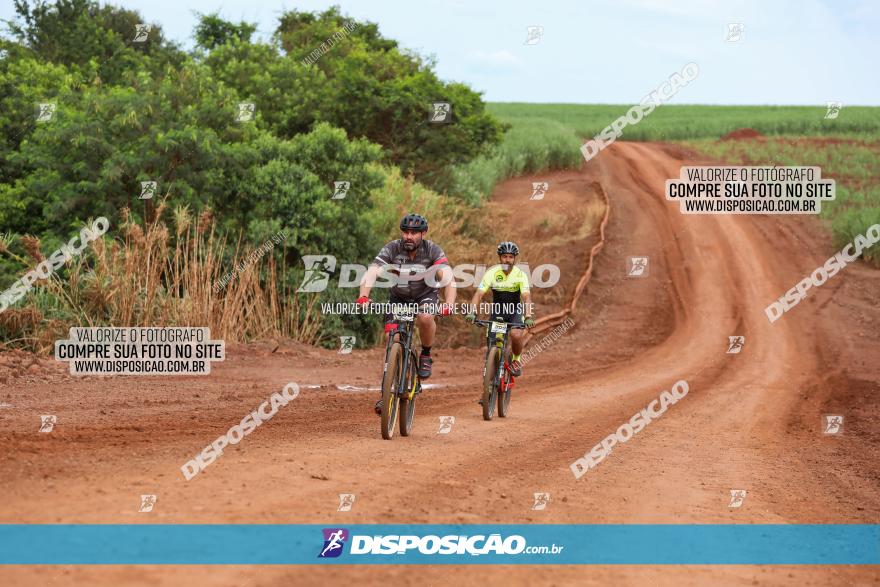 1ª EDIÇÃO DESAFIO ABELHA GRANDE - XCM