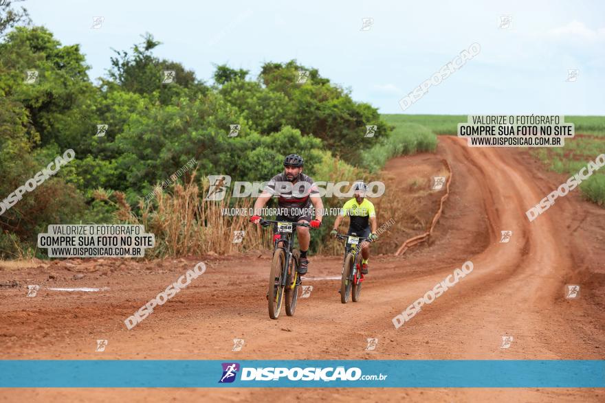 1ª EDIÇÃO DESAFIO ABELHA GRANDE - XCM