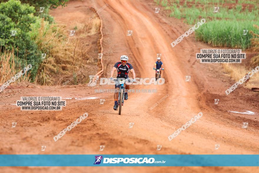 1ª EDIÇÃO DESAFIO ABELHA GRANDE - XCM