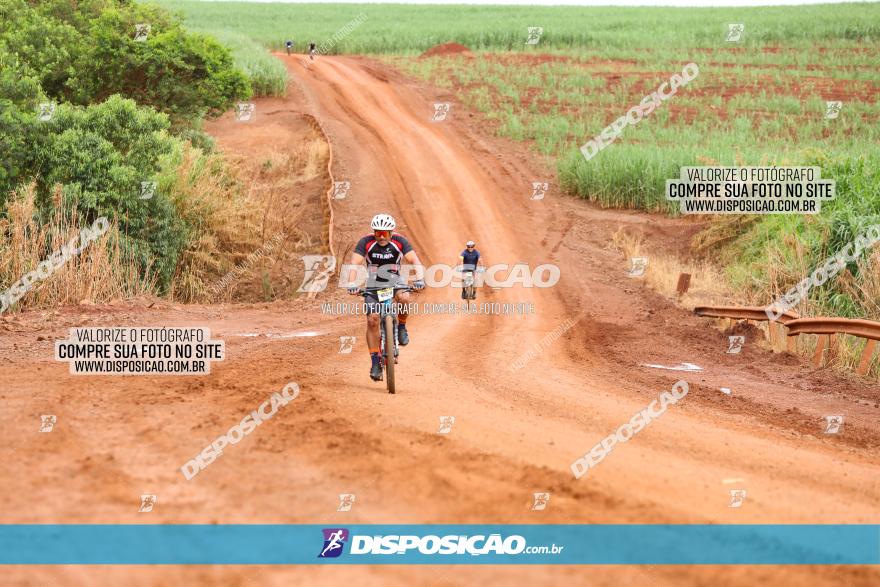 1ª EDIÇÃO DESAFIO ABELHA GRANDE - XCM