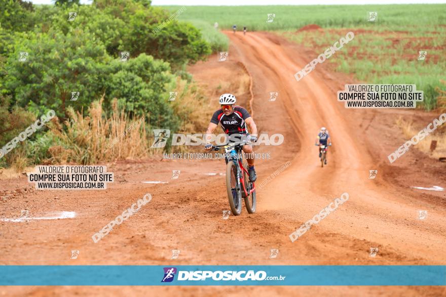 1ª EDIÇÃO DESAFIO ABELHA GRANDE - XCM