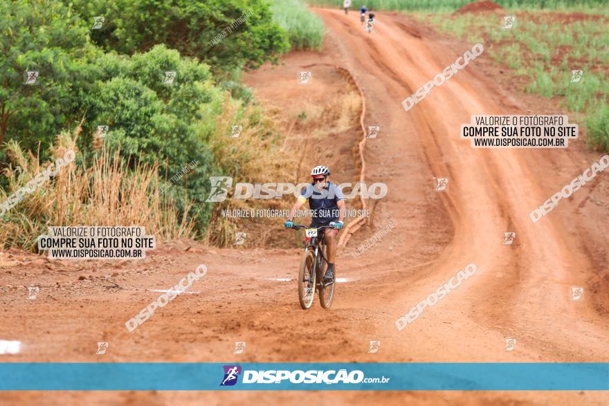 1ª EDIÇÃO DESAFIO ABELHA GRANDE - XCM