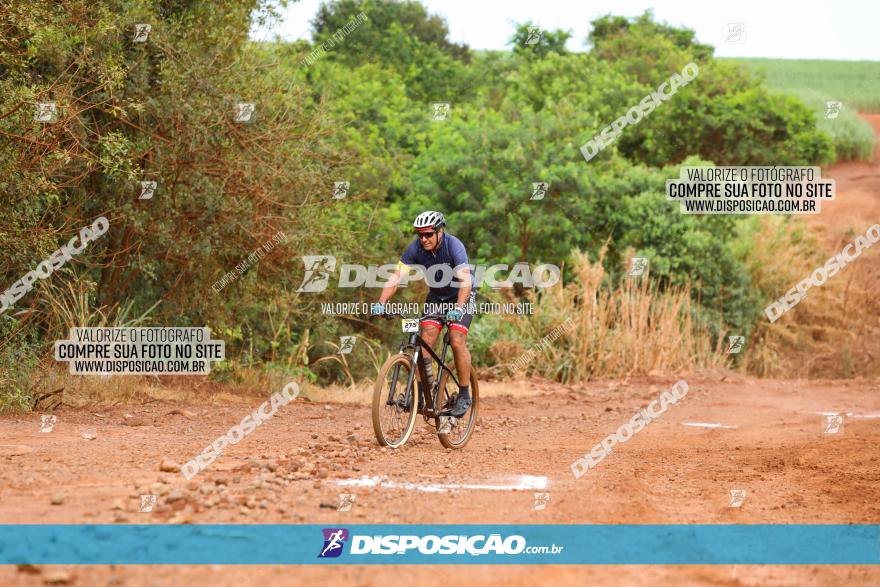 1ª EDIÇÃO DESAFIO ABELHA GRANDE - XCM