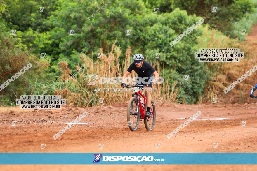 1ª EDIÇÃO DESAFIO ABELHA GRANDE - XCM