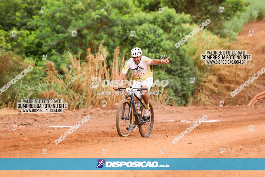 1ª EDIÇÃO DESAFIO ABELHA GRANDE - XCM