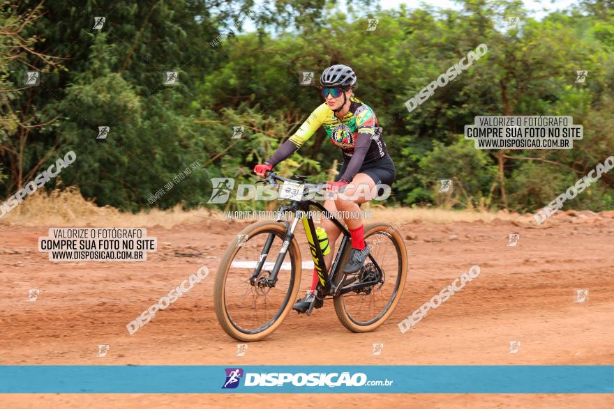 1ª EDIÇÃO DESAFIO ABELHA GRANDE - XCM