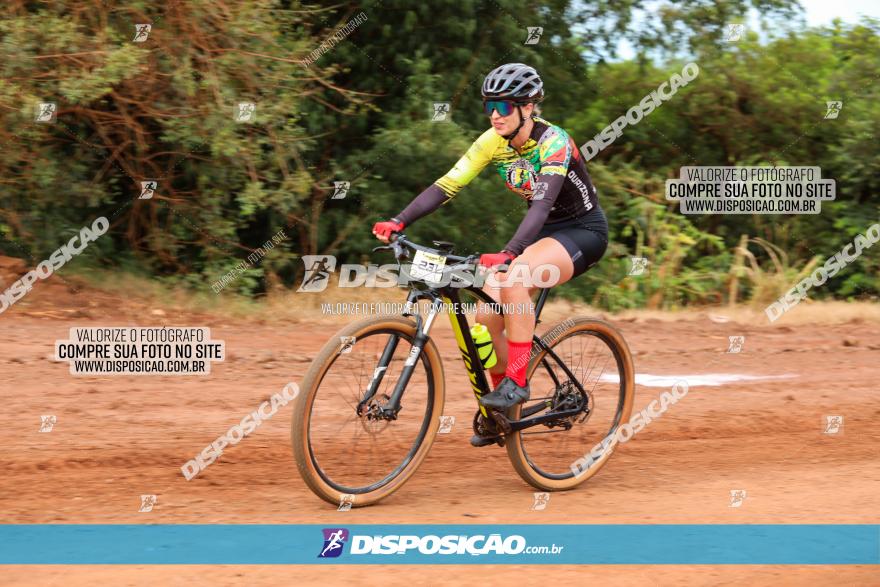 1ª EDIÇÃO DESAFIO ABELHA GRANDE - XCM