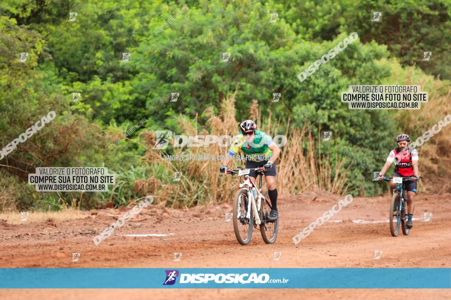 1ª EDIÇÃO DESAFIO ABELHA GRANDE - XCM