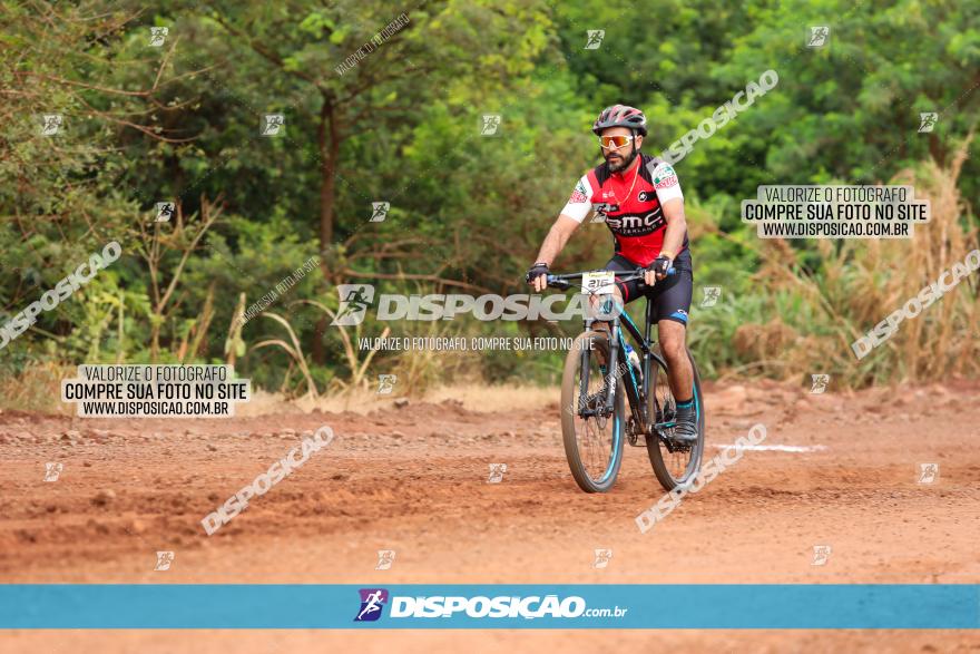 1ª EDIÇÃO DESAFIO ABELHA GRANDE - XCM