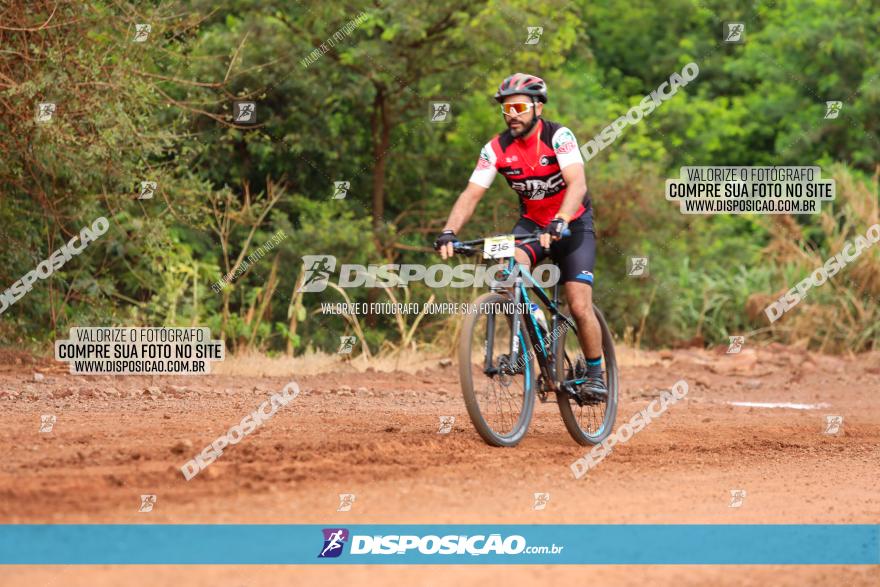 1ª EDIÇÃO DESAFIO ABELHA GRANDE - XCM