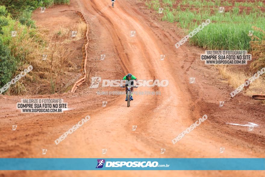 1ª EDIÇÃO DESAFIO ABELHA GRANDE - XCM