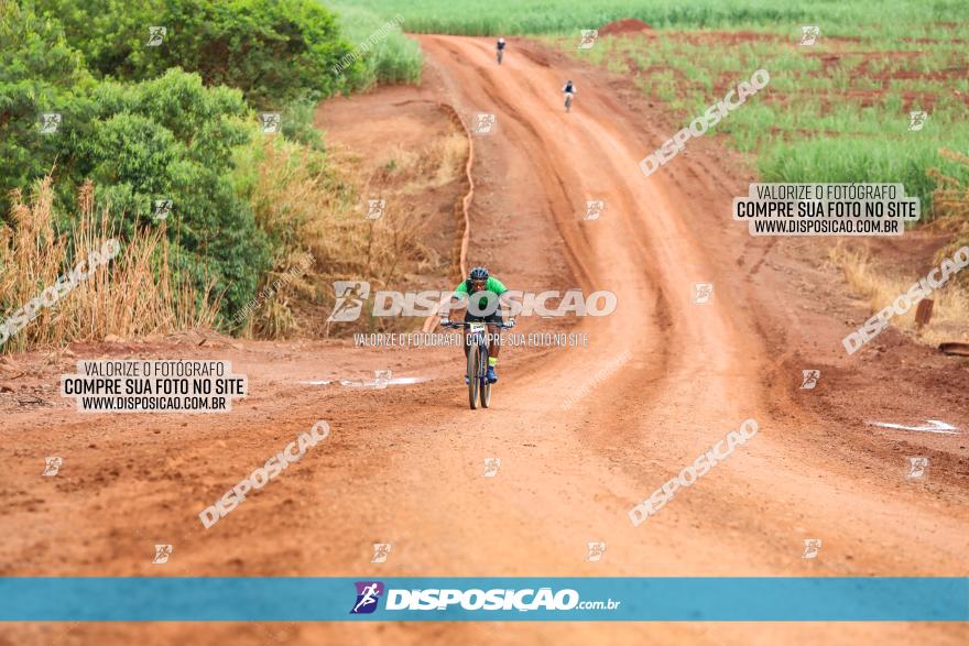 1ª EDIÇÃO DESAFIO ABELHA GRANDE - XCM