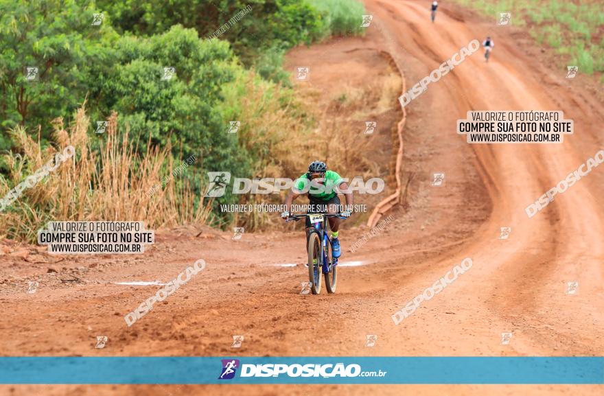 1ª EDIÇÃO DESAFIO ABELHA GRANDE - XCM