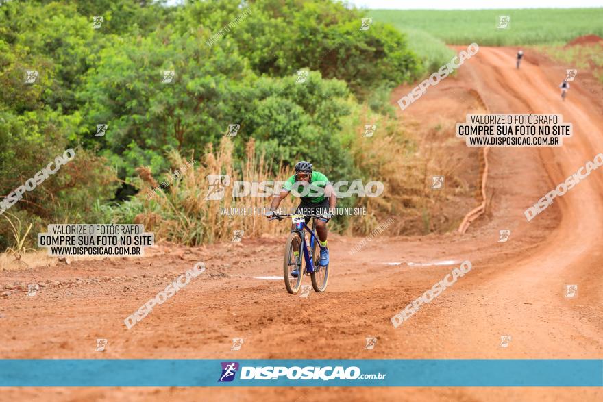 1ª EDIÇÃO DESAFIO ABELHA GRANDE - XCM