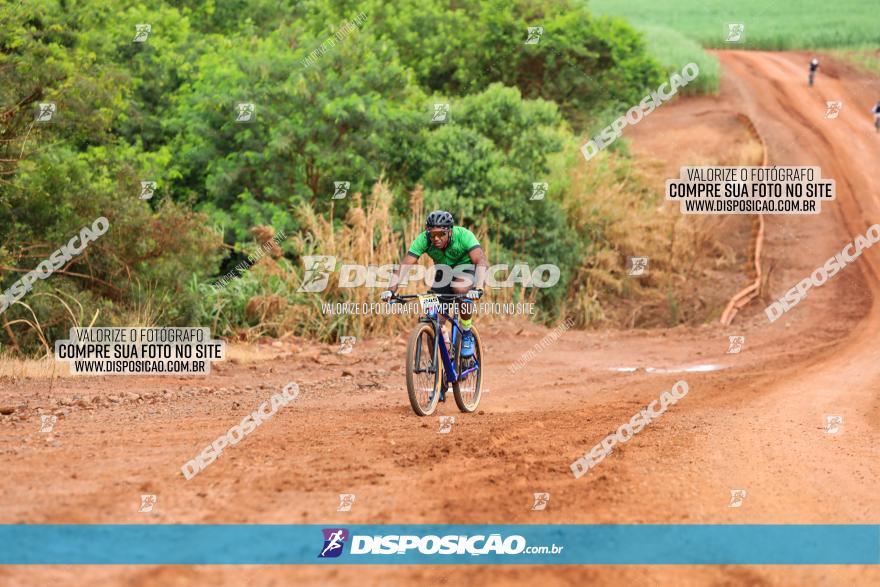 1ª EDIÇÃO DESAFIO ABELHA GRANDE - XCM